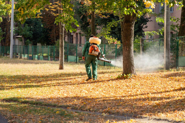 Best Mosquito Control Services  in Yeadon, PA